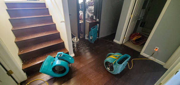Best Fire Damage Restoration  in Holly Hills, CO