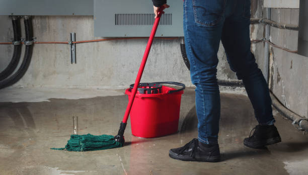 Best Sewage cleanup and water damage restoration  in Holly Hills, CO