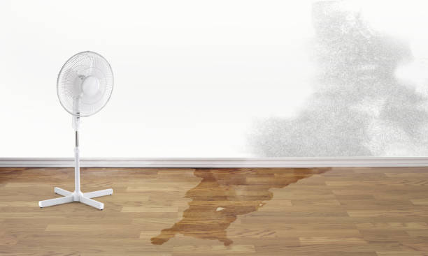 Water damage restoration process in CO