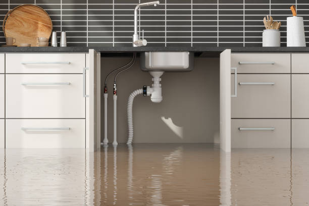 Trusted CO Water damage restoration Experts